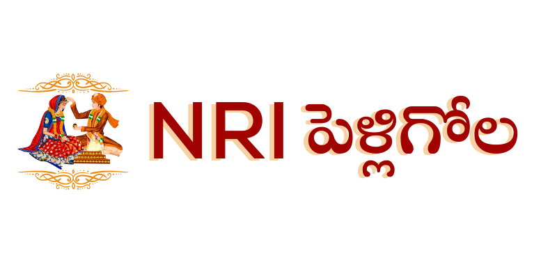 NRI Logo